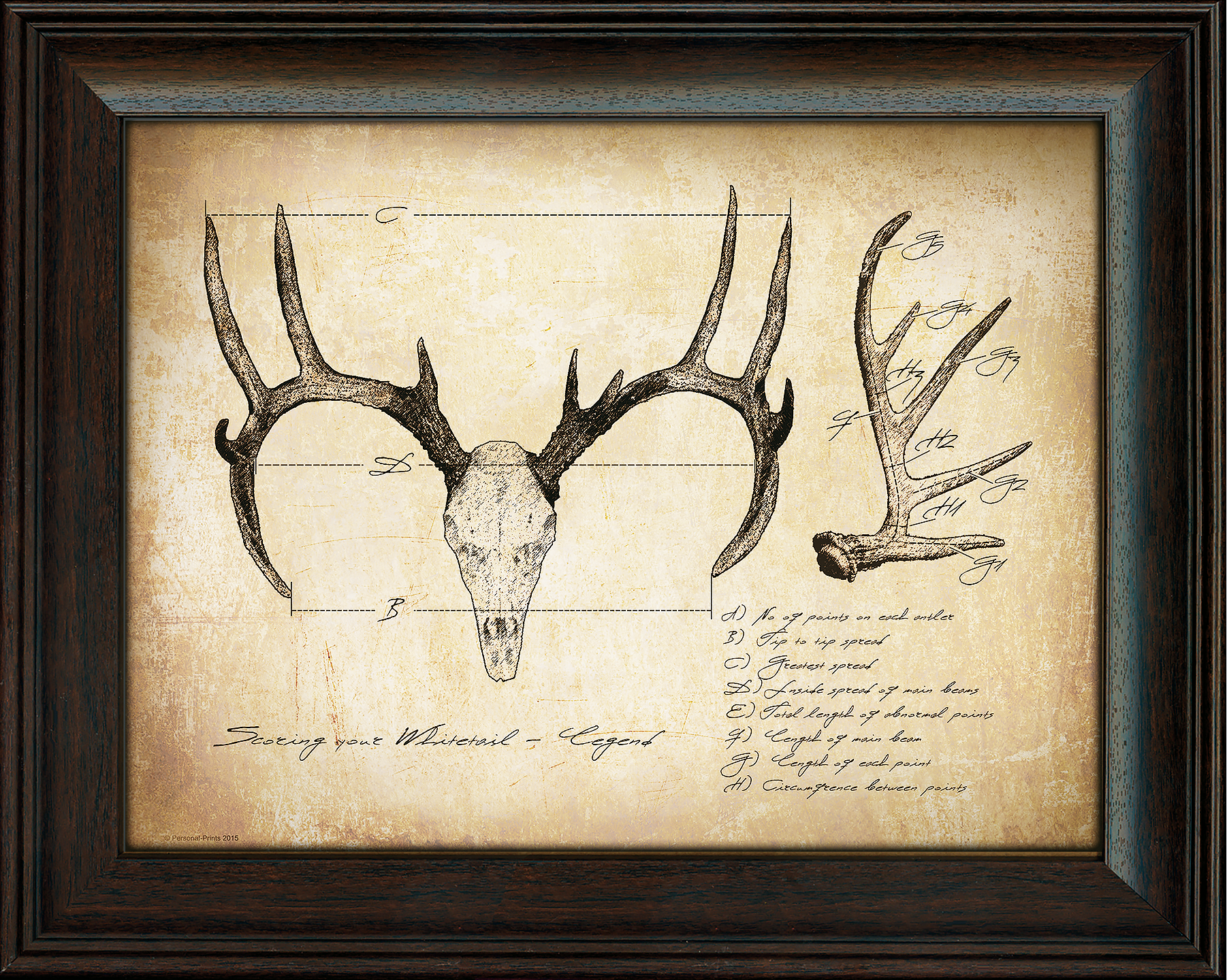 Scott Kennedy Kennedy's Personal Prints Whitetail Scoring Framed Print ...